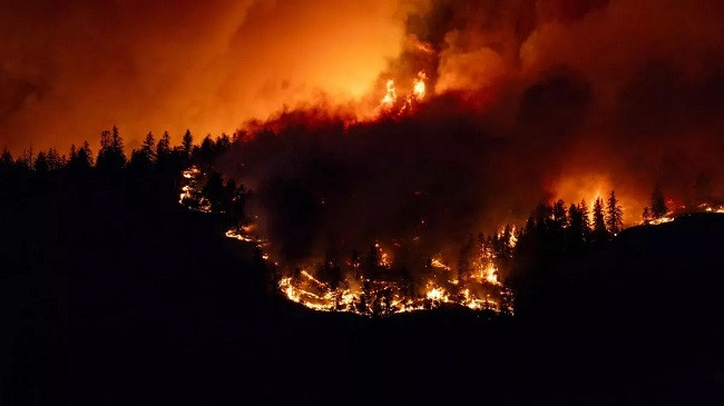 Zjarret në Kanada: British Columbia shpall gjendje të jashtëzakonshme