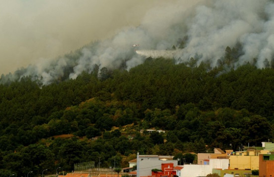 Zjarret shkrumbojnë Tenerifen