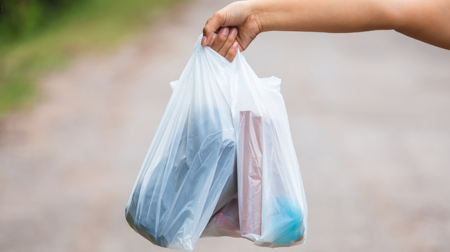 Ja kur pritet të fillojë zbatimi i Udhëzimit Administrativ për qeset plastike me pagesë