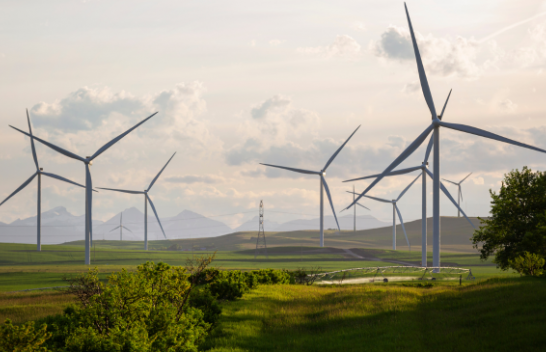 Turqia planifikon miliarda dollarë investime në energjinë e erës