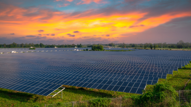 Energjia diellore tejkalon ripyllëzimin për reduktimin e ndryshimeve klimatike