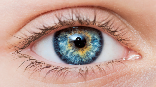 Si e trashëgojmë ngjyrën e syve?