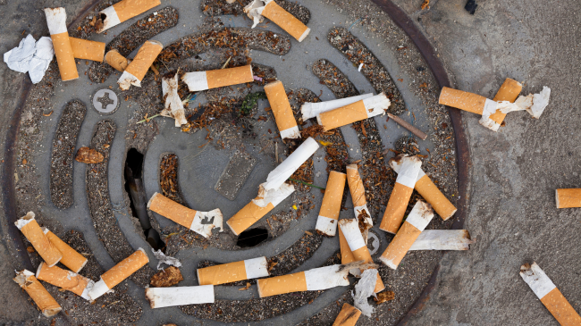 Bishtat e cigareve i kushtojnë botës 26 miliardë dollarë në vit dëme mjedisore