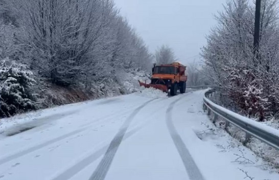 Zbardhen nga bora fshatrat e Korçës