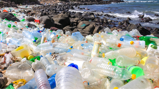 Rritja alarmante e ndotjes plastike në Mesdhe ngre shqetësime