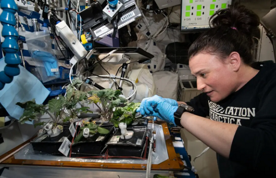 Ekspertët paralajmërojnë: Sallata e hapësirës mund të vrasë astronautët