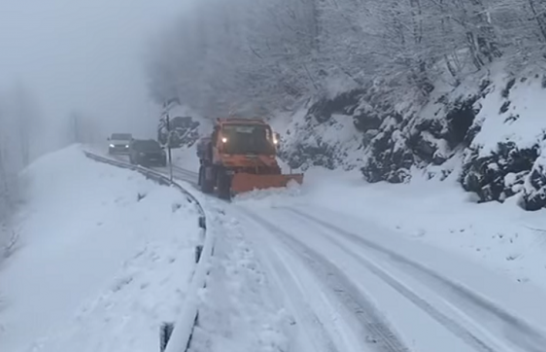 Reshje bore në Bogë-Qafë Thore të Shqipërisë