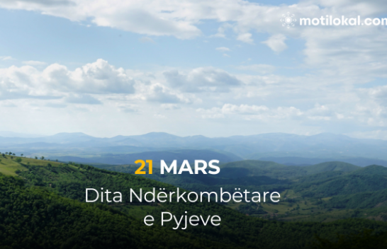 Dita Ndërkombëtare e Pyjeve