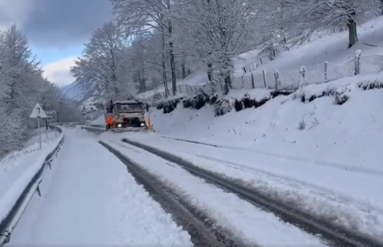 Rikthehen reshjet e borës, zbardhet Shqipëria