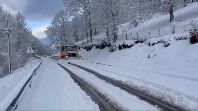 Rikthehen reshjet e borës, zbardhet Shqipëria