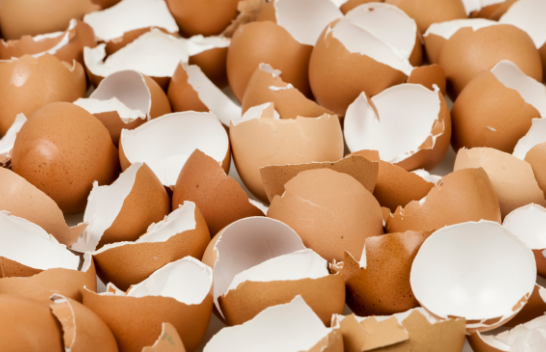 Lëvozhgat e vezëve mund të përdoren si pleh për bimë të ndryshme, ja si