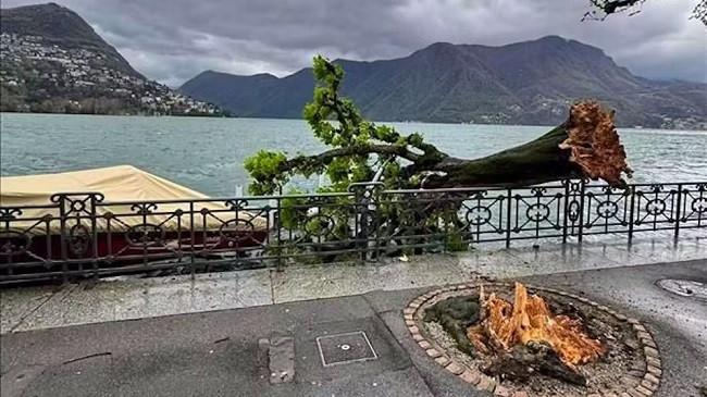 Zvicër, moti i keq shkakton rrëshqitje dheu dhe përmbytje