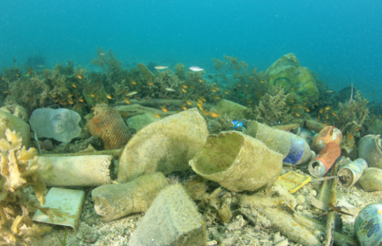 Shkencëtarët zbuluan miliona ton mbetje plastike në fund të oqeanit