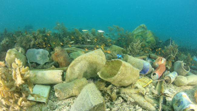 Shkencëtarët zbuluan miliona ton mbetje plastike në fund të oqeanit
