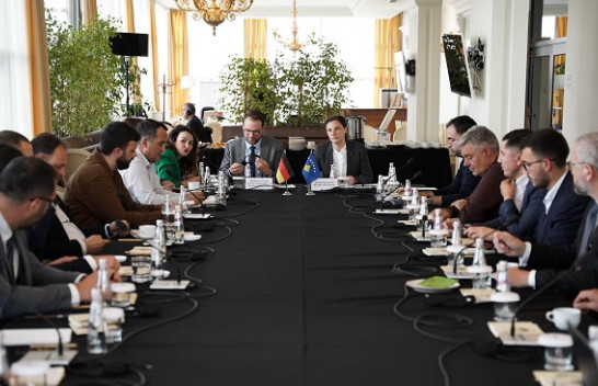 Ministrja Rizvanolli merr pjesë në diskutimin për Deklaratën e Partneritetit për Klimë dhe Energji mes Kosovës dhe Gjermanisë