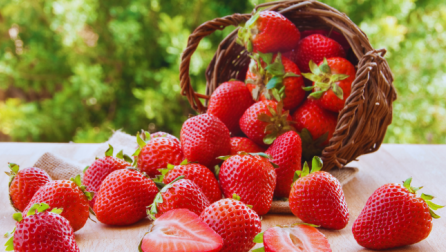 Sezoni i dredhëzave ka filluar: Fruti më shumë përfitime shëndetësore