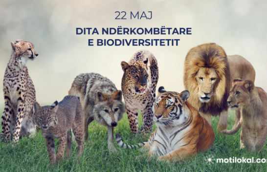 Shënohet Dita Ndërkombëtare e Biodiversitetit