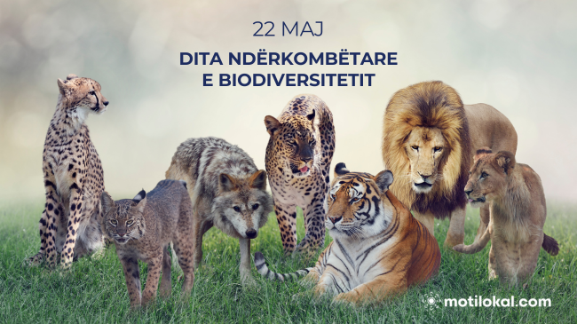 Shënohet Dita Ndërkombëtare e Biodiversitetit