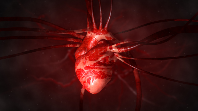 Pesë vitamina që i mbajnë arteriet të pastra dhe të pa bllokuara