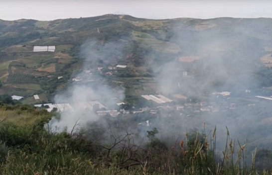 Kodrat e Vainit në Karbunarë përfshihen nga zjarri, digjen plantacione me ullinj