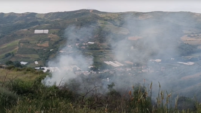 Kodrat e Vainit në Karbunarë përfshihen nga zjarri, digjen plantacione me ullinj