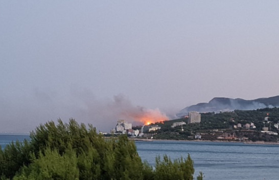 Situatë alarmante në Shëngjin: Flakët rrezikojnë çdo gjë