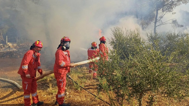 Kjo është situata aktuale e zjarreve në Shqipëri