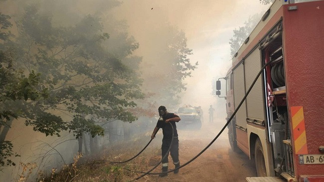 Kjo është gjendja e fundit nga zjarret në Shqipëri