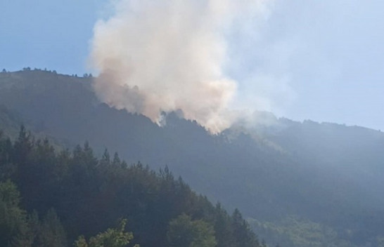 Zjarr në Parkun Kombëtar Sharri, bëhet thirrje për ndihmë