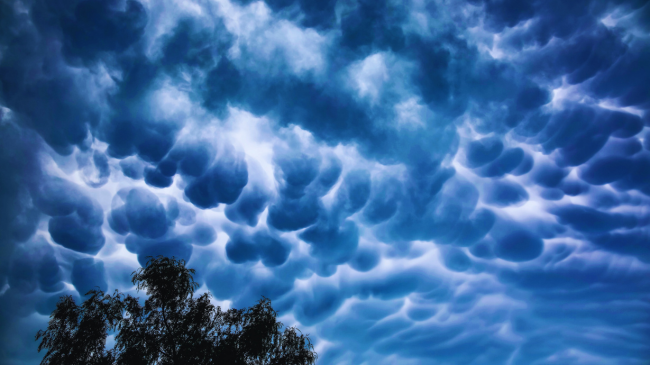 Bukuria dhe misteri i reve Mamatus
