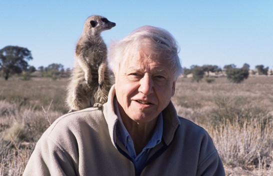 Sir David Attenborough: "Bota do të ishte më keq pa historitë tona"