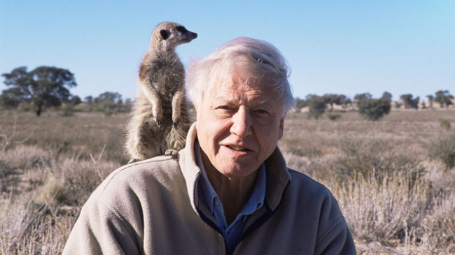 Sir David Attenborough: "Bota do të ishte më keq pa historitë tona"