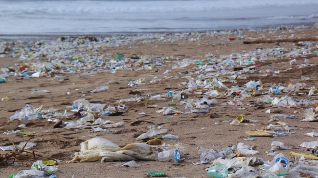 Shpëtimi i planetit nga plastika