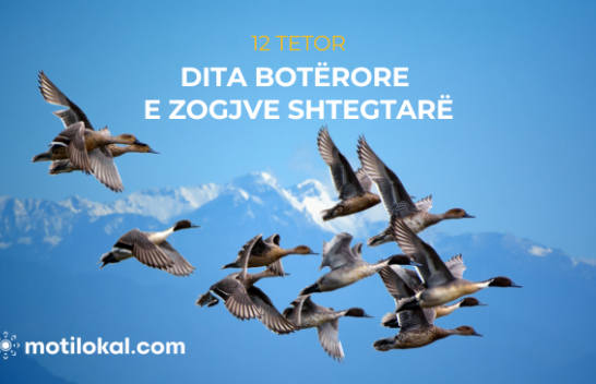 12 Tetor - Dita Botërore e Zogjve Shtegtarë