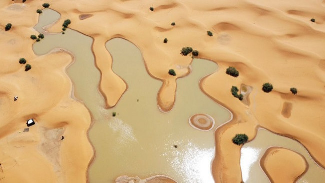 Fenomen i rrallë, Sahara shndërrohet në liqen