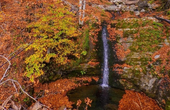 Kartolinë vjeshte nga Lëpusha/ FOTO