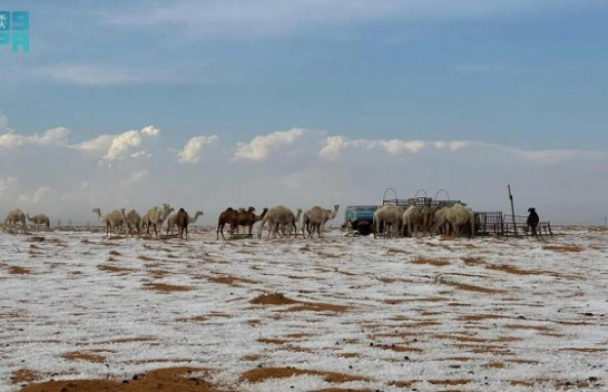 Skena të pabesueshme në Arabinë Saudite: rëra e shkretëtirës e zbardhur nga bora