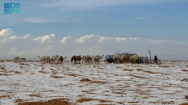 Skena të pabesueshme në Arabinë Saudite: rëra e shkretëtirës e zbardhur nga bora