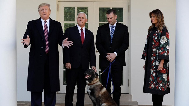 A do të ketë kafshë shtëpiake në Shtëpinë e Bardhë gjatë mandatit të Trump? Dihet që nuk i pëlqen qentë