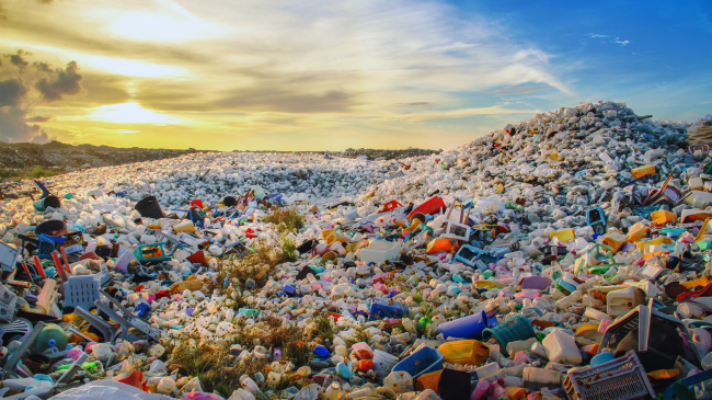 Shkencëtarët zbulojnë: Ndotja plastike po transformon të gjithë ekosistemin e Tokës