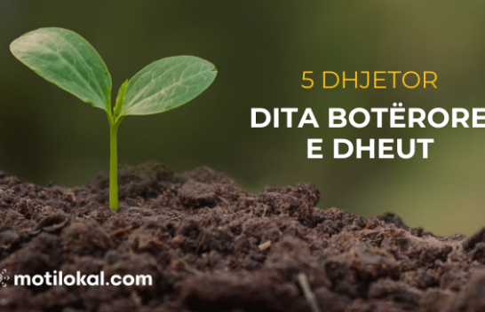 Sot shënohet Dita Botërore e Dheut