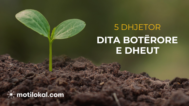 Sot shënohet Dita Botërore e Dheut