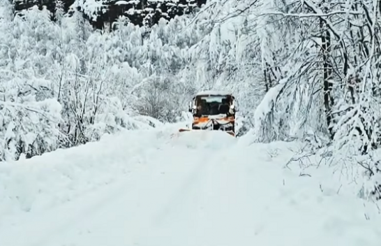 Reshje shiu dhe bore në Shqipëri, shoferëve u kërkohet kujdes