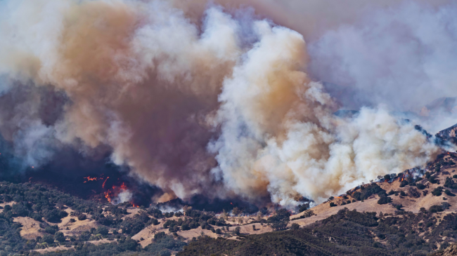 Zjarret shkaktojnë rritje rekorde të CO2 në nivel global, duke përshpejtuar ngrohjen e klimës