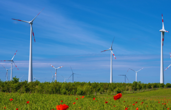 Ngrohja globale mund ta ulë shpejtësinë e erës në Evropë: Çfarë do të thotë kjo për energjinë e rinovueshme?