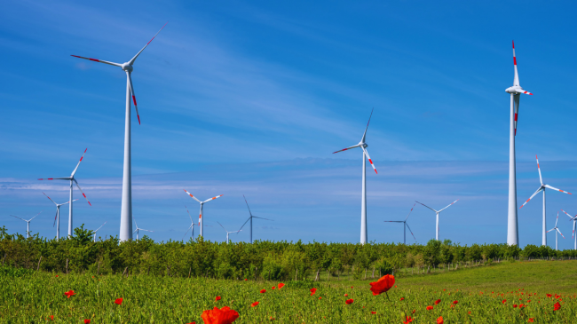 Ngrohja globale mund ta ulë shpejtësinë e erës në Evropë: Çfarë do të thotë kjo për energjinë e rinovueshme?