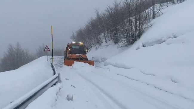 Rikthehet dimri! Reshjet e borës zbardhin Shqipërinë