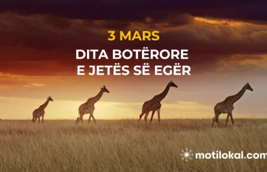 Dita Botërore e Jetës së Egër – Të mbrojmë thesarin e natyrës sonë