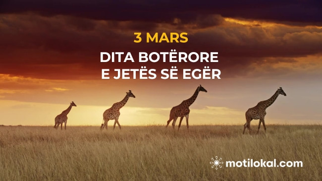 Dita Botërore e Jetës së Egër – Të mbrojmë thesarin e natyrës sonë