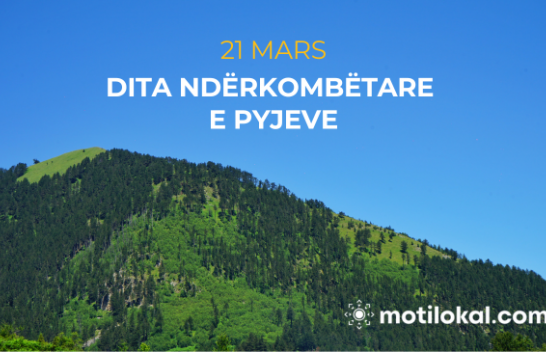 Sot shënohet Dita Ndërkombëtare e Pyjeve